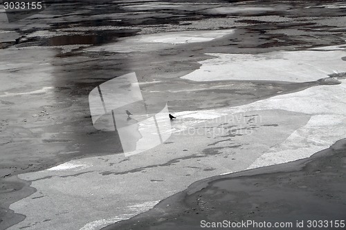 Image of Ice floating on the river in winter