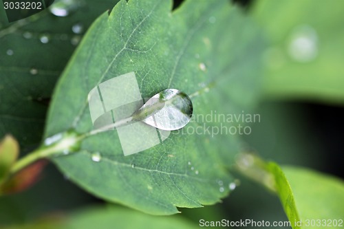 Image of water drop