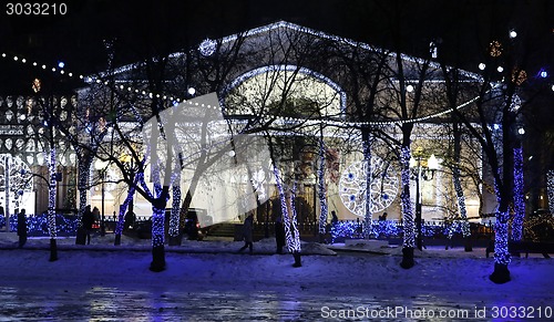 Image of The lights in winter park