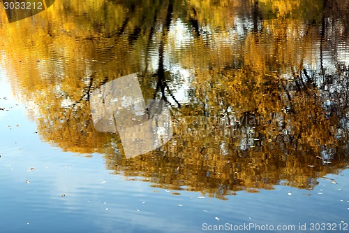 Image of reflections in the water