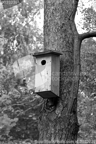 Image of house for birds