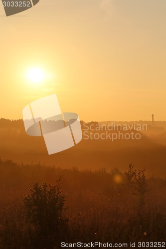 Image of dawn field
