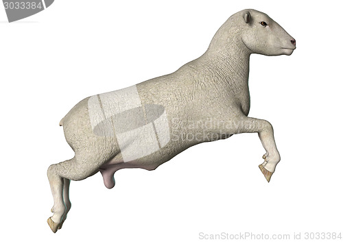 Image of Jumping Sheep