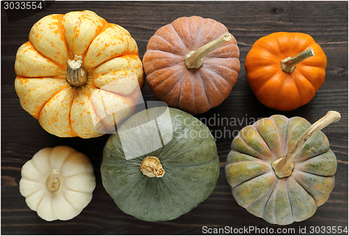 Image of Squash and pumpkins