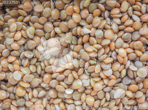 Image of Lentils food