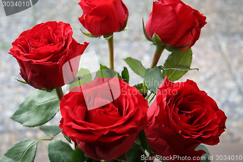 Image of Roses