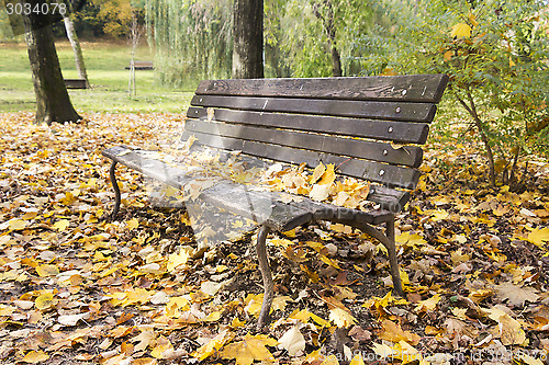 Image of Bench in autumn