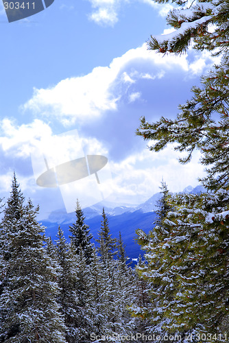 Image of Snowy mountains