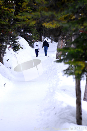 Image of Snowy path