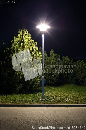 Image of Park night