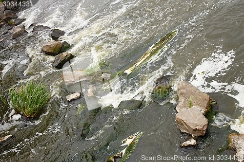 Image of Rapid foaming river stream