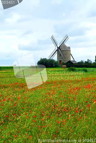 Image of Windmill and poppy field