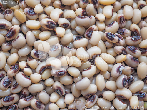 Image of Beans salad