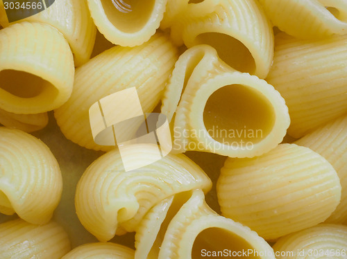 Image of Lumache pasta food