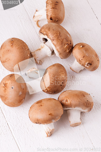 Image of Fresh brown portobello or agaricus mushrooms