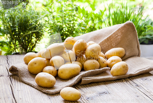 Image of Farm fresh  potatoes on a hessian sack