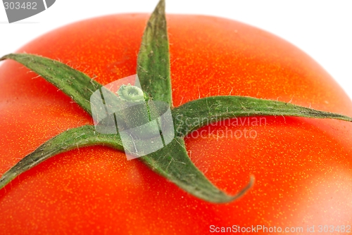 Image of Tomato