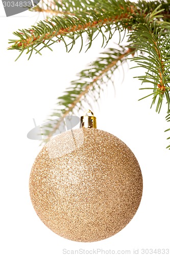 Image of Christmas ball hanging from a branch of a fir tree