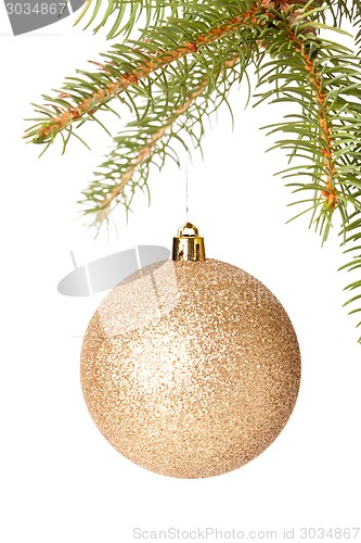 Image of Christmas ball hanging from a branch of a fir tree