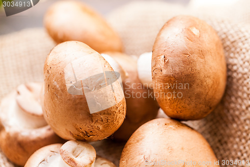 Image of Fresh brown Agaricus mushrooms