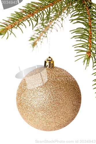 Image of Christmas ball hanging from a branch of a fir tree