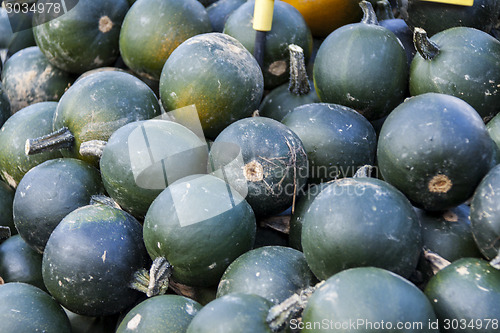 Image of Rondini cucurbita pumpkin pumpkins from autumn harvest