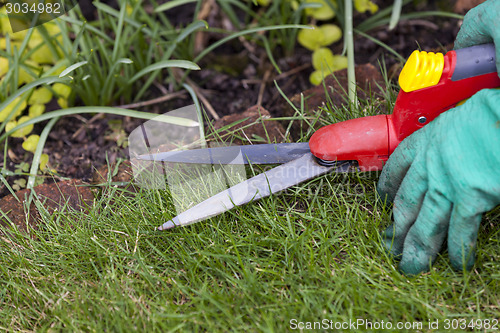 Image of Close Up of Hands Trimming Grass with Clippers