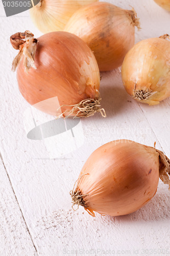 Image of Small fresh brown onions