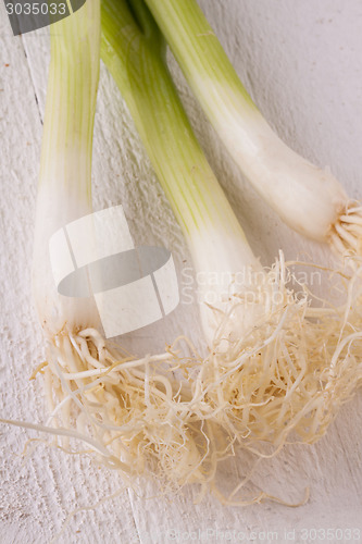 Image of Bunch of fresh leeks or scallions