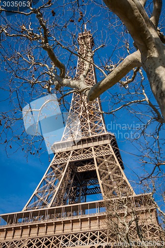 Image of Eiffel Tower in Paris