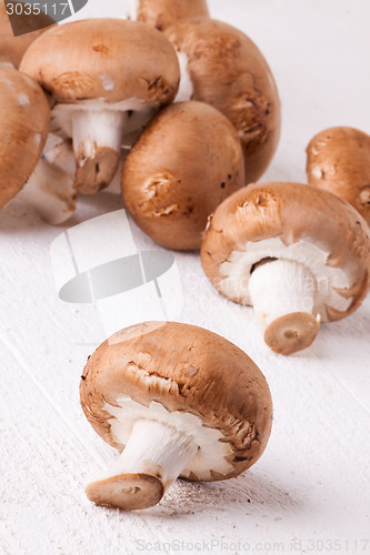 Image of Fresh brown portobello or agaricus mushrooms