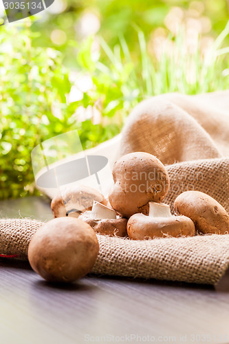 Image of Fresh brown Agaricus mushrooms