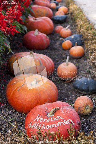 Image of Herzlich willkommen, cucurbita pumpkin pumpkins from autumn harv