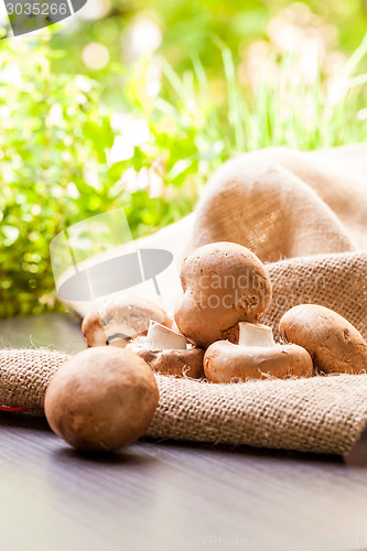 Image of Fresh brown Agaricus mushrooms