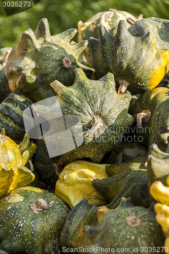 Image of Krönli Teufelskralle devils cucurbita pumpkin pumpkins from aut