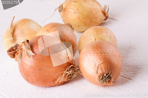 Image of Small fresh brown onions