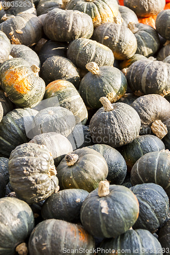 Image of Green Grüner Hokkaido cucurbita pumpkin pumpkins from autumn ha