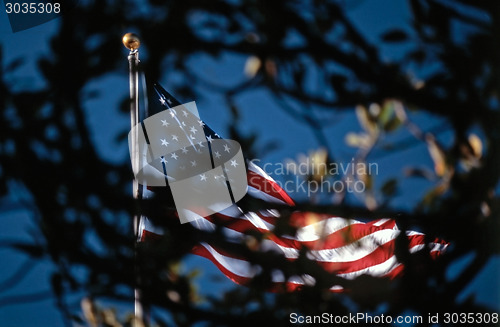 Image of US Flag