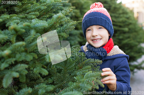 Image of buying christmas tree