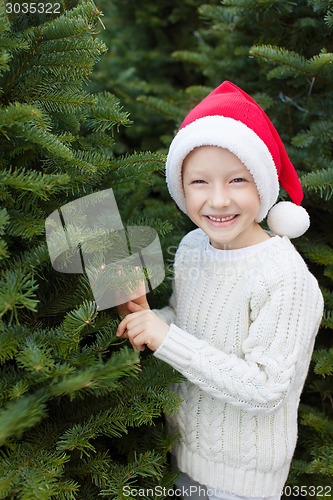 Image of buying christmas tree