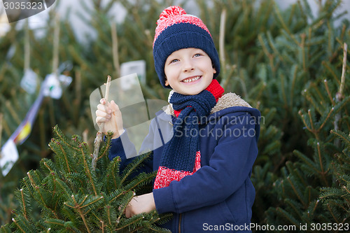 Image of buying christmas tree