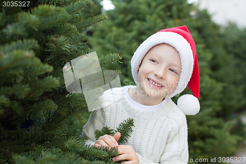 Image of buying christmas tree