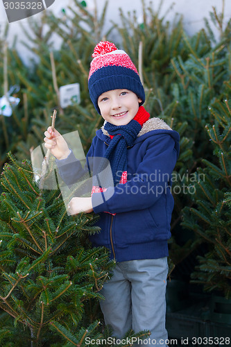 Image of buying christmas tree