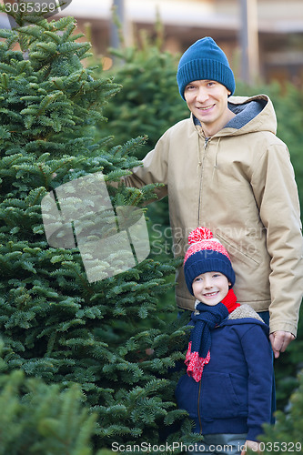 Image of buying christmas tree