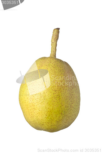 Image of Single whole Asian pear