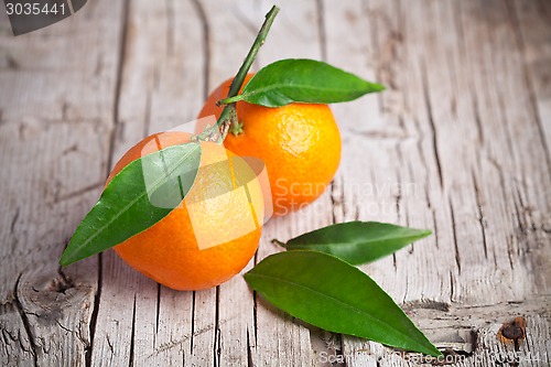 Image of fresh tangerines with leaves 