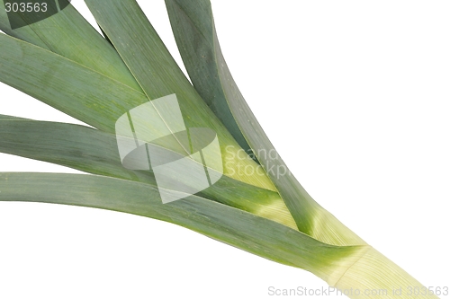 Image of Leek