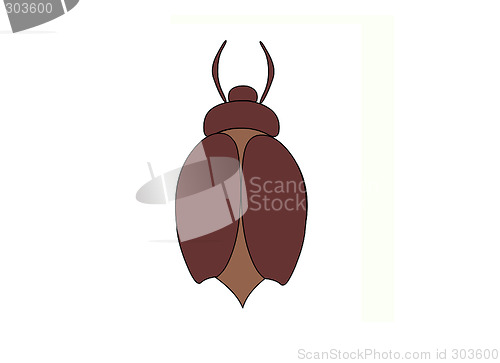 Image of Brown bug