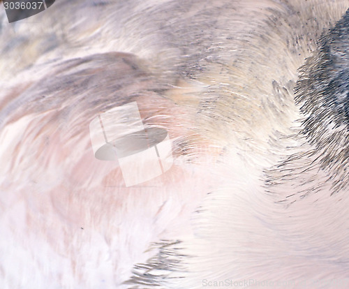 Image of Background