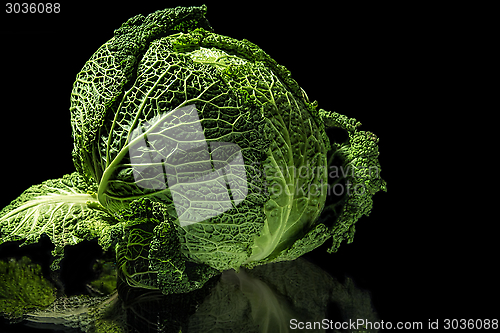 Image of Cabbage